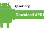 Apkek org