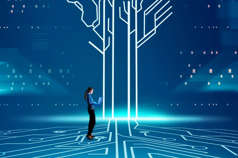 Entertainment and Media Industry Insights