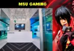 MSU Gaming