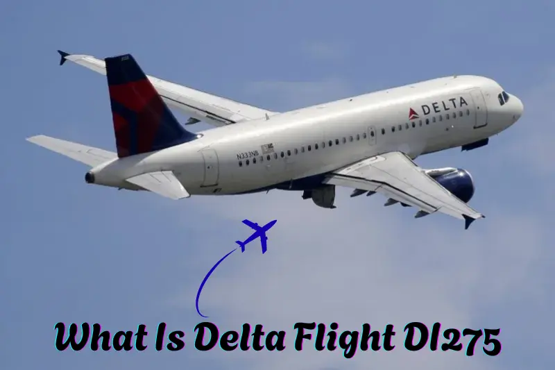 What Is Delta Flight DI275