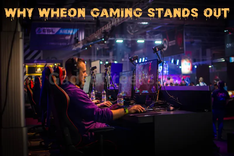 Why Wheon Gaming Stands Out